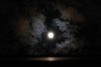 1120645_harvest_moon