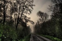 997469_final_destiny_i____