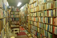 66479_lots_of_books