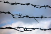 97416_barbed_wire_1