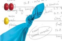 Šetři se, Einsteine