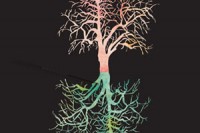 denni dum, nocni dum, nahled