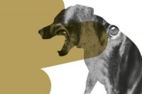 klid-mocnych_prebal+razba.indd