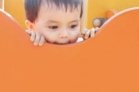 Vývoj dítěte v 1-3.roce