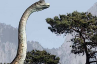 svet_dinosauru1_CooBoo