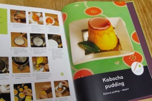 VelkaJaponskaKucharka2