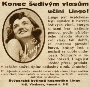 Letem světem 1937
