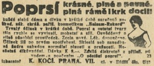 Vídeňské ilustrované noviny 1919