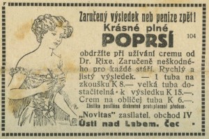 Vídeňské ilustrované noviny 1919