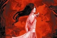 DivkaZNocnichMurVyrez