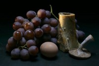 omnivoresdilemma_náhled