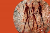 PerexHomoAdaptabilis