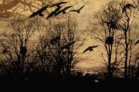 konec-vosi-sezony-4b