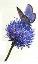 Zahrada pro zvířecí návštěvníky