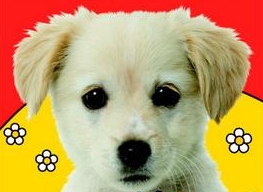 Chyť si mě - Mazlíčci