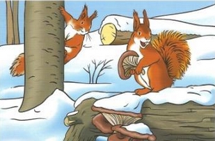 Tajemný život sněhuláků