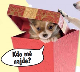 Koťátka a štěňátka - zábavné úkoly se samolepkami