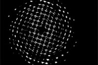 PerexValkaOCerneDiry