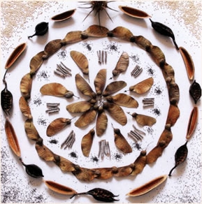 Tvoříme s dětmi z darů přírody