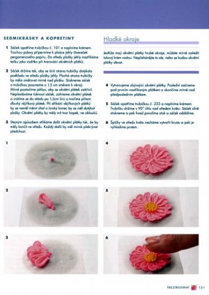 sedmikrásky a kopretiny