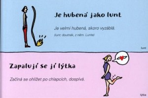 ukazka_Kdo-jinemu-jamu-kopa