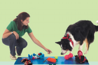 PerexHryProPsiHlavicky