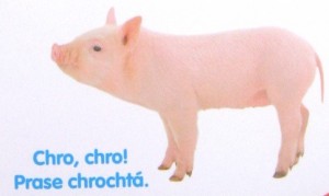 Jak dělá prasátko?