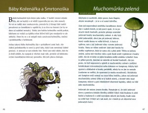 ukazka2-pohadkovy-atlas-hub