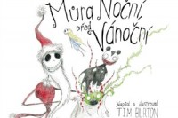 mura-nocni-predvanocni