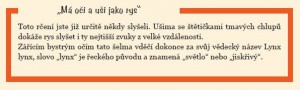 RysZajimavosti