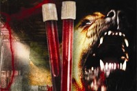 Posmrtna-spravedlnost-perex