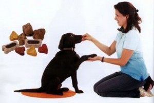 hry-pro-psi-hlavicky-obr