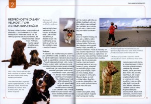 ukazka-hry-pro-psi-hlavicky