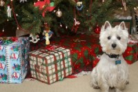 Tipy na dárky pro celou rodinu