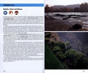 ukazka-rybinky-ceske-republiky