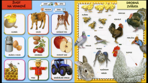 Na farmě (s otvíracími okénky) - Anna Casalis