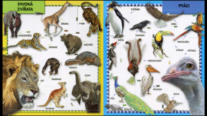 Zvířata (s otvíracími okénky) - Anna Casalis