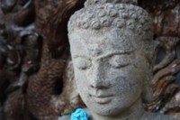 buddha-1384453-m