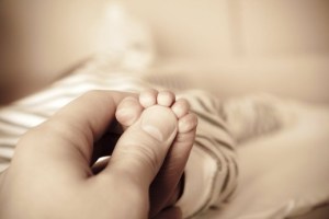 Zdroj fotografie: https://www.flickr.com