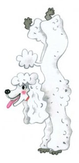 Duhovy-cirkus-ukazka2