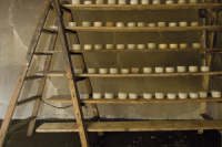 PravidlasyrarnyNahled