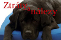 Ztraty-a-nalezy-perex