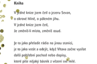 Osip míří na jih - obálka