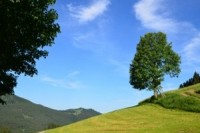 summer-landscape-1446043-m