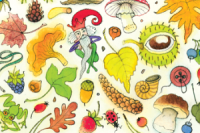 maly-lesni-pruvodce-perex