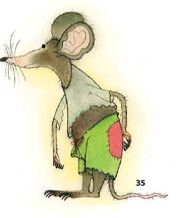 maly-lesni-pruvodce_ukazka1