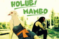 HolubiMamboNahled