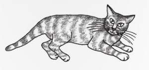 zivot-s-kocourem-neni-pro-kocku-ukazka-2