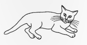 zivot-s-kocourem-neni-pro-kocku-ukazka