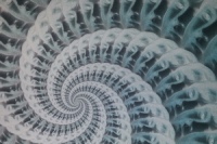 Prvnich_patnact_zivotu_Harryho_Augusta_ukazka